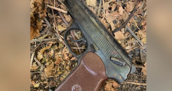 В Киеве велосипедист стрелял из пистолета в собак