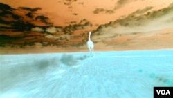 Новый фильм Годфри Реджио «Однажды во времени» показали в Музее современного искусства4