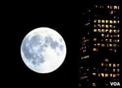 Новый фильм Годфри Реджио «Однажды во времени» показали в Музее современного искусства5