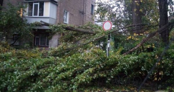 В Киеве на выходных зафиксировали рекорд скорости ветра0