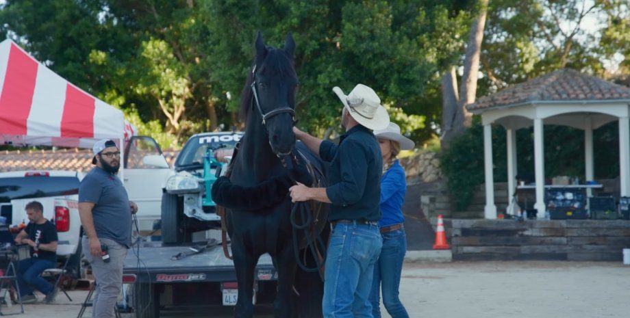 Лошадь эксперимент Лошадь, Эксперимент, Лошадиная сила, Мощностью, Исследование, Эксперты, Авто, Автомобили, Видео
