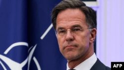 Марк Рютте утверждён на пост будущего генсека НАТО0