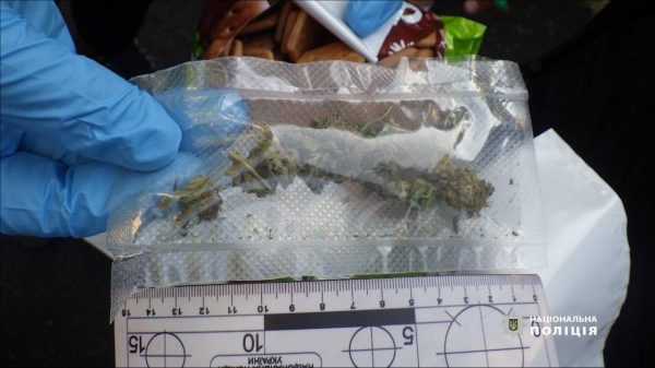 В Киеве задержали мужчину, который рассылал по почте наркотики под видом печенья3