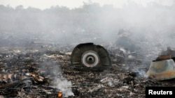 Место крушения самолета Boeing 777 авиакомпании Malaysia Airlines в районе поселка Грабове в Донецкой области, 17 июля 2014 года.