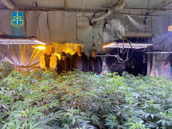 В Киеве разоблачили семью 