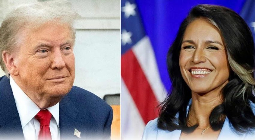 Разведывательное сообщество раздражено решением Трампа назначить Габбард главой разведки США