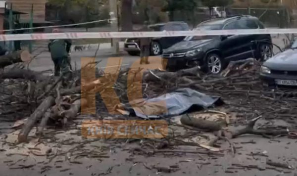 В Киеве дерево упало на женщину: она погибла1