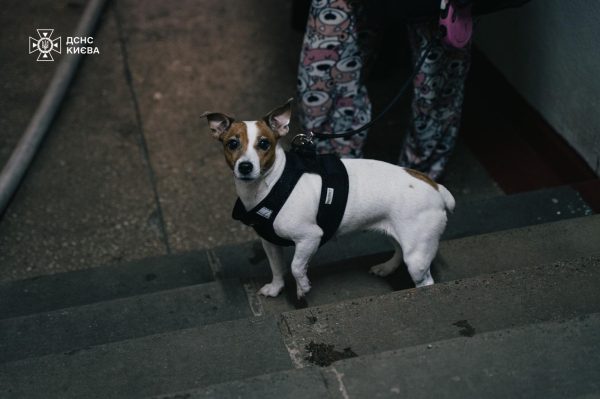 В центре Киева горело общежитие2