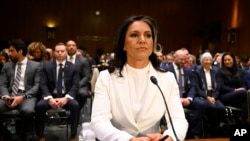 Кандидатура Тулси Габбард на пост главы Национальной разведки рассматривается в сенатском комитете0