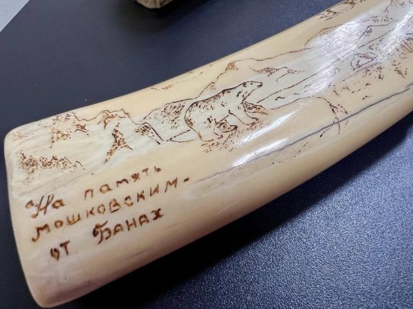 На киевской таможне из посылки изъяли бивни моржа3