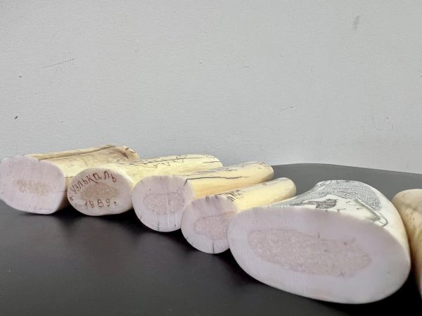 На киевской таможне из посылки изъяли бивни моржа1