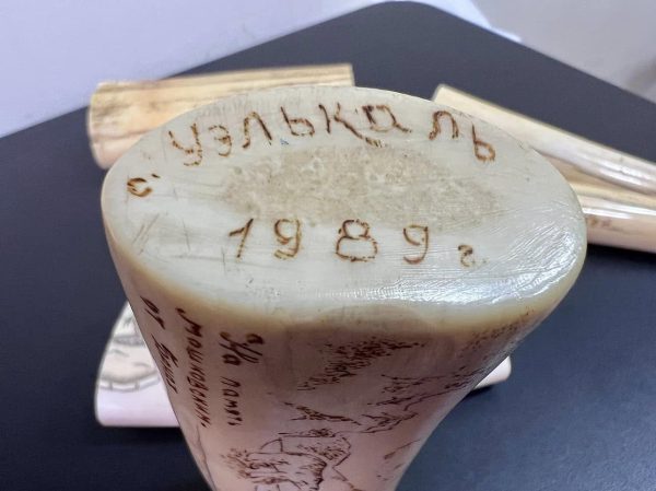 На киевской таможне из посылки изъяли бивни моржа4