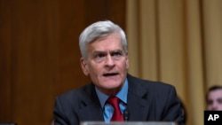 Кандидатура Роберта Ф. Кеннеди на пост главы Минздрава вынесена на голосование в Сенате1