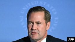 Майк Уолтц призвал Киев подписать соглашение с США о поставках полезных ископаемых0