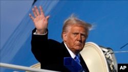 Трамп заявил, что может встретиться с Зеленским на следующей неделе0