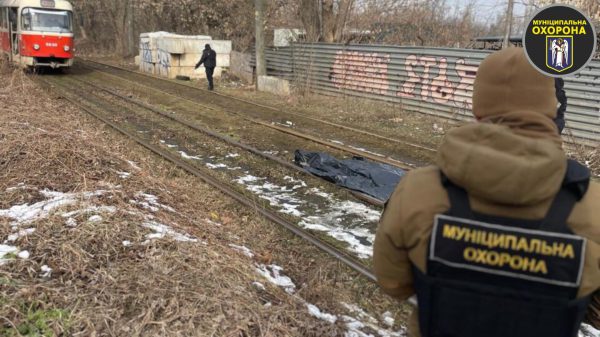 В Пуще Водице на трамвайных путях обнаружили тело мужчины2