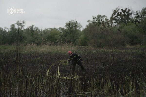 Масштабный пожар в Киеве: на Совских прудах горел тростник3