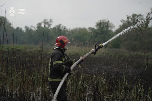 Масштабный пожар в Киеве: на Совских прудах горел тростник4