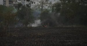 Масштабный пожар в Киеве: на Совских прудах горел тростник