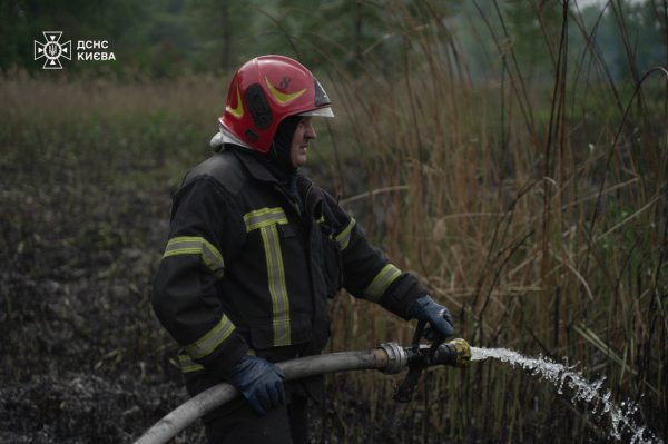 Масштабный пожар в Киеве: на Совских прудах горел тростник2